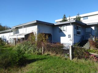 Photo 44: 800 Alder St in CAMPBELL RIVER: CR Campbell River Central House for sale (Campbell River)  : MLS®# 747357