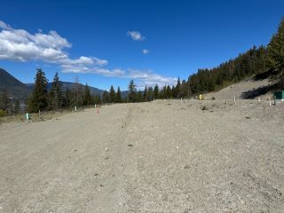 Photo 29: Lots 1 or 3 3648 Braelyn Road in Tappen: Sunnybrae Estates Land Only for sale (Shuswap Lake)  : MLS®# 10310808