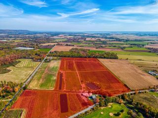 Photo 3: 1279 Sherman Belcher Road in Centreville: Kings County Farm for sale (Annapolis Valley)  : MLS®# 202224317