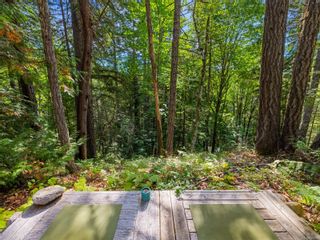 Photo 45: 1250 Englishman River Rd in Errington: PQ Errington/Coombs/Hilliers House for sale (Parksville/Qualicum)  : MLS®# 895001