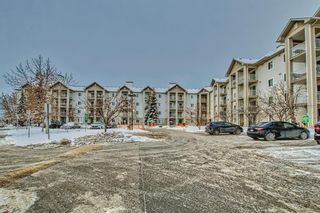 Main Photo: 229 1717 60 Street SE in Calgary: Red Carpet Apartment for sale : MLS®# A2021964