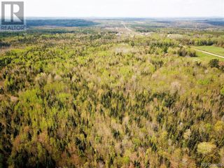 Photo 13: -- 730 Route in Pomeroy Ridge: Vacant Land for sale : MLS®# NB087048