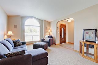 Photo 14: 29 Austin Drive: Red Deer Detached for sale : MLS®# A1257368