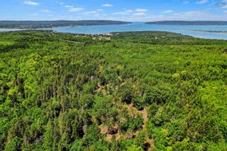 Photo 9: Lot Highway 101 in Smiths Cove: Digby County Vacant Land for sale (Annapolis Valley)  : MLS®# 202216443