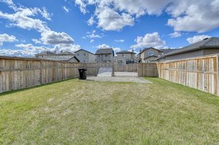 Photo 43: 17 Taralake View NE in Calgary: Taradale Detached for sale : MLS®# A1104958