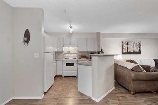 Photo 6: 103 3000 Citadel Meadow Point NW in Calgary: Citadel Apartment for sale : MLS®# A2140401