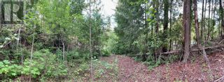 Photo 9: SL 65 Huckleberry Drive, in SORRENTO: Vacant Land for sale : MLS®# 10280109