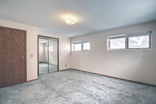 Photo 38: 56 Rundlefield Close NE in Calgary: Rundle Detached for sale : MLS®# A1184908