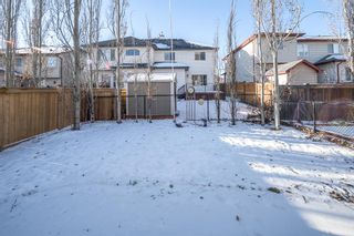Photo 28: 244 Silverado Range Heights SW in Calgary: Silverado Semi Detached (Half Duplex) for sale : MLS®# A2014417