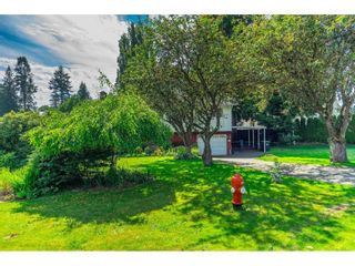 Photo 6: 23490 MARY Avenue in Langley: Fort Langley House for sale in "FORT LANGLEY" : MLS®# R2702893