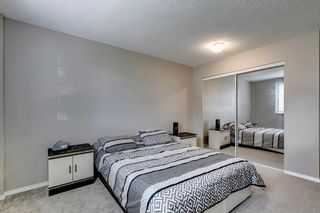 Photo 14: 104B 7301 4A Street SW in Calgary: Kingsland Apartment for sale : MLS®# A2035581