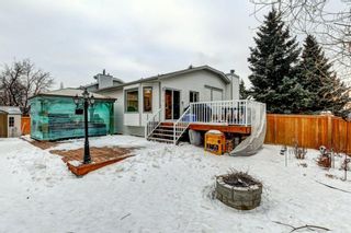 Photo 29: 1704 Meadowlark Road SE: Airdrie Detached for sale : MLS®# A1172374