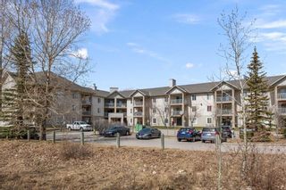Photo 1: 320 4000 Citadel Meadow Point NW in Calgary: Citadel Apartment for sale : MLS®# A2123539