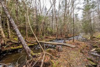 Photo 19: Baxters Harbour Road in Baxters Harbour: Kings County Residential for sale (Annapolis Valley)  : MLS®# 202400893
