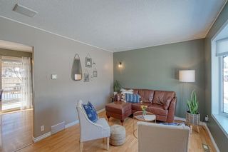 Photo 11: 1156 Penrith Crescent SE in Calgary: Penbrooke Meadows Detached for sale : MLS®# A1207956