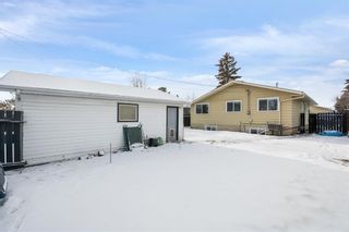 Photo 22: 3728 26A Street SE in Calgary: Dover Detached for sale : MLS®# A2014438