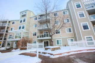 Photo 1: 220 290 Shawville Way SE in Calgary: Shawnessy Apartment for sale : MLS®# A1056416