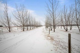 Photo 24: 45466 Range Road 180: Rural Camrose County Detached for sale : MLS®# A2054639