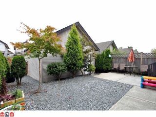 Photo 10: 6550 192A Street in Surrey: Clayton House for sale in "CLAYTON'S COOPER CREEK" (Cloverdale) 