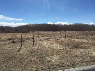 Photo 14: 32182 TWP RD 262 in Rural Rockyview County: Rural Rocky View MD House for sale : MLS®# C4006884