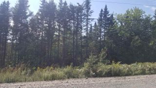 Photo 3: Lot 7 Moose River Road in Lindsay Lake: 35-Halifax County East Vacant Land for sale (Halifax-Dartmouth)  : MLS®# 201921615