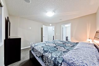 Photo 27: 142 SKYVIEW POINT CR NE in Calgary: Skyview Ranch House for sale : MLS®# C4226415