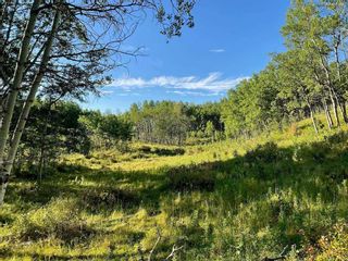 Photo 8: 261028 Lochend Road in Rural Rocky View County: Rural Rocky View MD Commercial Land for sale : MLS®# A2128891
