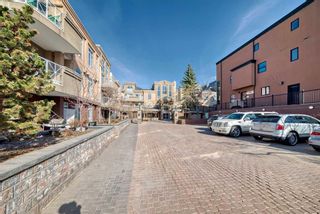 Photo 38: 320 1800 14A Street SW in Calgary: Bankview Apartment for sale : MLS®# A2124871