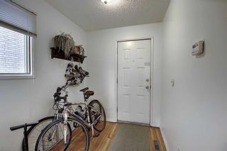 Photo 5: 521 22 Avenue SW in Calgary: Cliff Bungalow Detached for sale : MLS®# A2114456