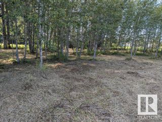 Photo 16: RR 204 HWY 661: Rural Thorhild County Vacant Lot/Land for sale : MLS®# E4369773