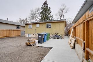 Photo 4: 3053 29A Street SE in Calgary: Dover Detached for sale : MLS®# A2042265