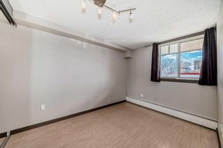 Photo 11: 209 1301 17 Avenue NW in Calgary: Capitol Hill Apartment for sale : MLS®# A2123691