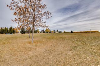 Photo 44: 32 Strasbourg Green SW in Calgary: Strathcona Park Detached for sale : MLS®# A1169495