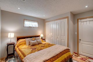 Photo 25: 48 Spring Haven Close SE: Airdrie Detached for sale : MLS®# A1131621