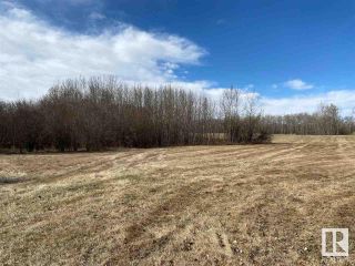 Photo 6: 12 Ivan Road 587104 Hwy 38: Rural Sturgeon County Rural Land/Vacant Lot for sale : MLS®# E4239338