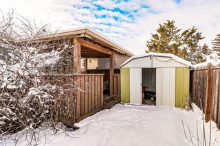 Photo 35: 232 Erin Mount Crescent SE in Calgary: Erin Woods Detached for sale : MLS®# A2022417