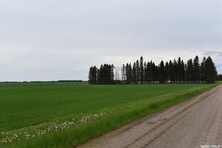 Photo 10: Wallington Acreage in Torch River: Residential for sale (Torch River Rm No. 488)  : MLS®# SK891093