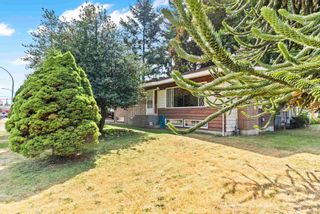 Photo 34: 2415 ADELAIDE Street in Abbotsford: Abbotsford West House for sale : MLS®# R2606943