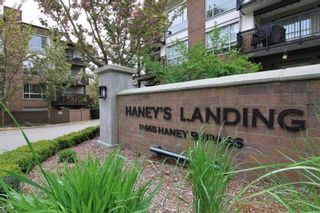 Photo 17: 411 11665 HANEY BYPASS in Maple Ridge: East Central Condo for sale : MLS®# R2263527
