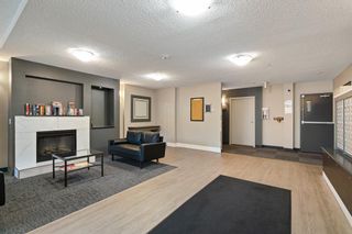 Photo 20: 2208 73 Erin Woods Court SE in Calgary: Erin Woods Apartment for sale : MLS®# A2002541