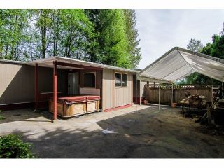 Photo 15: 38 10221 WILSON Street in Mission: Stave Falls Manufactured Home for sale in "TRIPLE CREEK ESTATES" : MLS®# F1411178