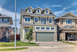 Photo 1: 314 Evanston Drive NW in Calgary: Evanston Detached for sale : MLS®# A2129617