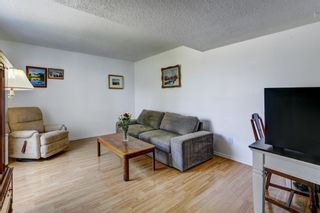 Photo 7: 74 32 WHITNEL Court NE in Calgary: Whitehorn Row/Townhouse for sale : MLS®# A1016839