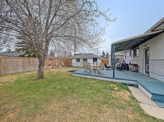 Photo 40: 33 Montrose Crescent NE in Calgary: Winston Heights/Mountview Detached for sale : MLS®# A2125358