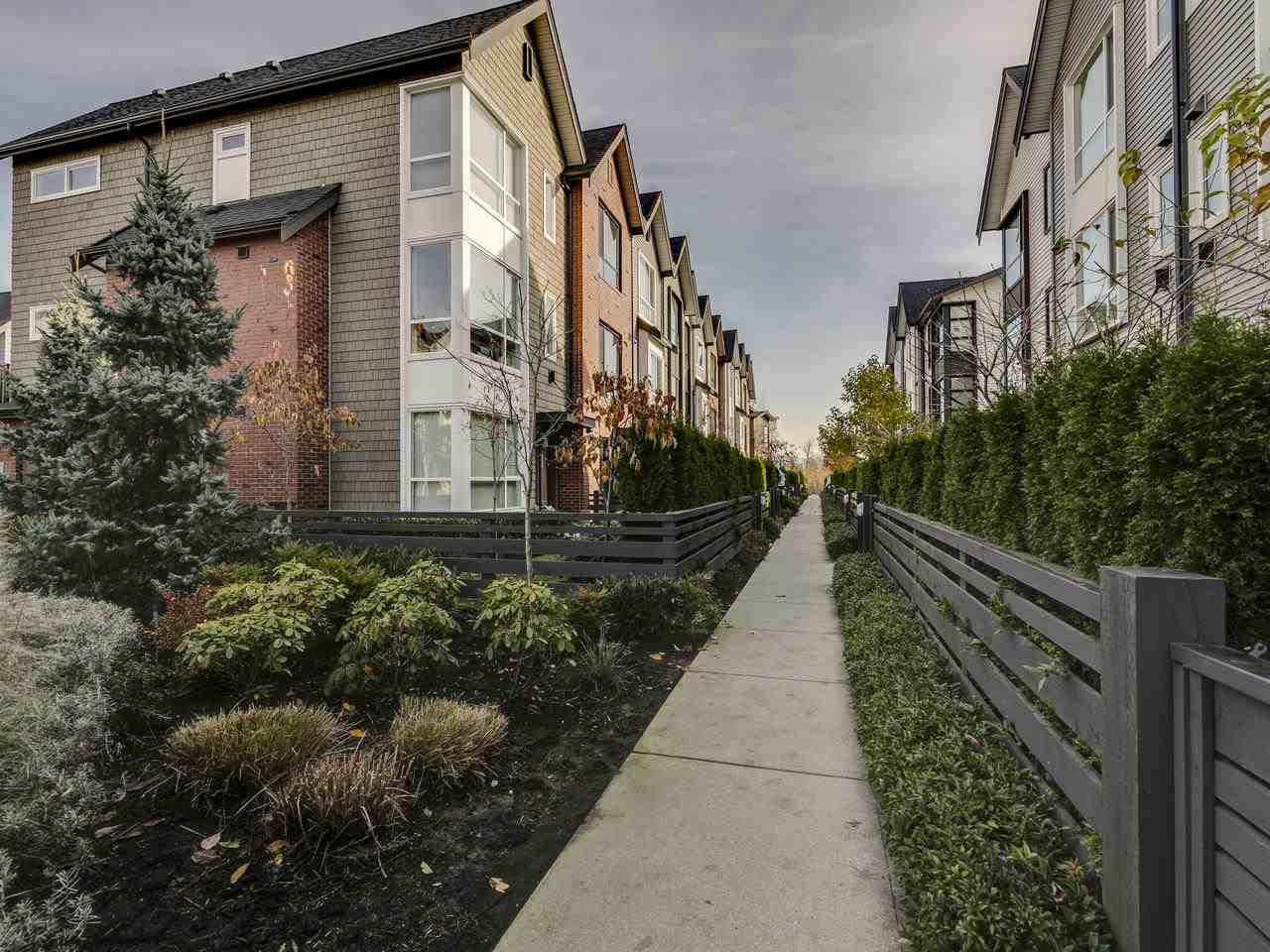 Photo 19: Photos: 13 2380 RANGER Lane in Port Coquitlam: Riverwood Townhouse for sale in "Freemont Indigo" : MLS®# R2416640