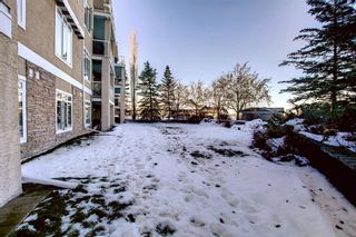 Photo 35: 102 40 Parkridge View SE in Calgary: Parkland Apartment for sale : MLS®# A2013210