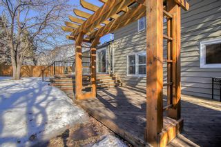 Photo 42: 627 Willoughby Crescent SE in Calgary: Willow Park Detached for sale : MLS®# A1077885