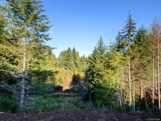 Photo 26: 1176 Deer Meadow in Highlands: Hi Bear Mountain House for sale : MLS®# 813684