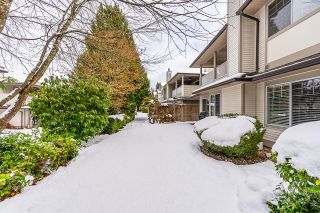 Photo 29: 120 20391 96 AVENUE in Langley: Walnut Grove Townhouse for sale : MLS®# R2741119