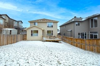 Photo 20: 14 Pantego Way NW in Calgary: Panorama Hills Detached for sale : MLS®# A2020880